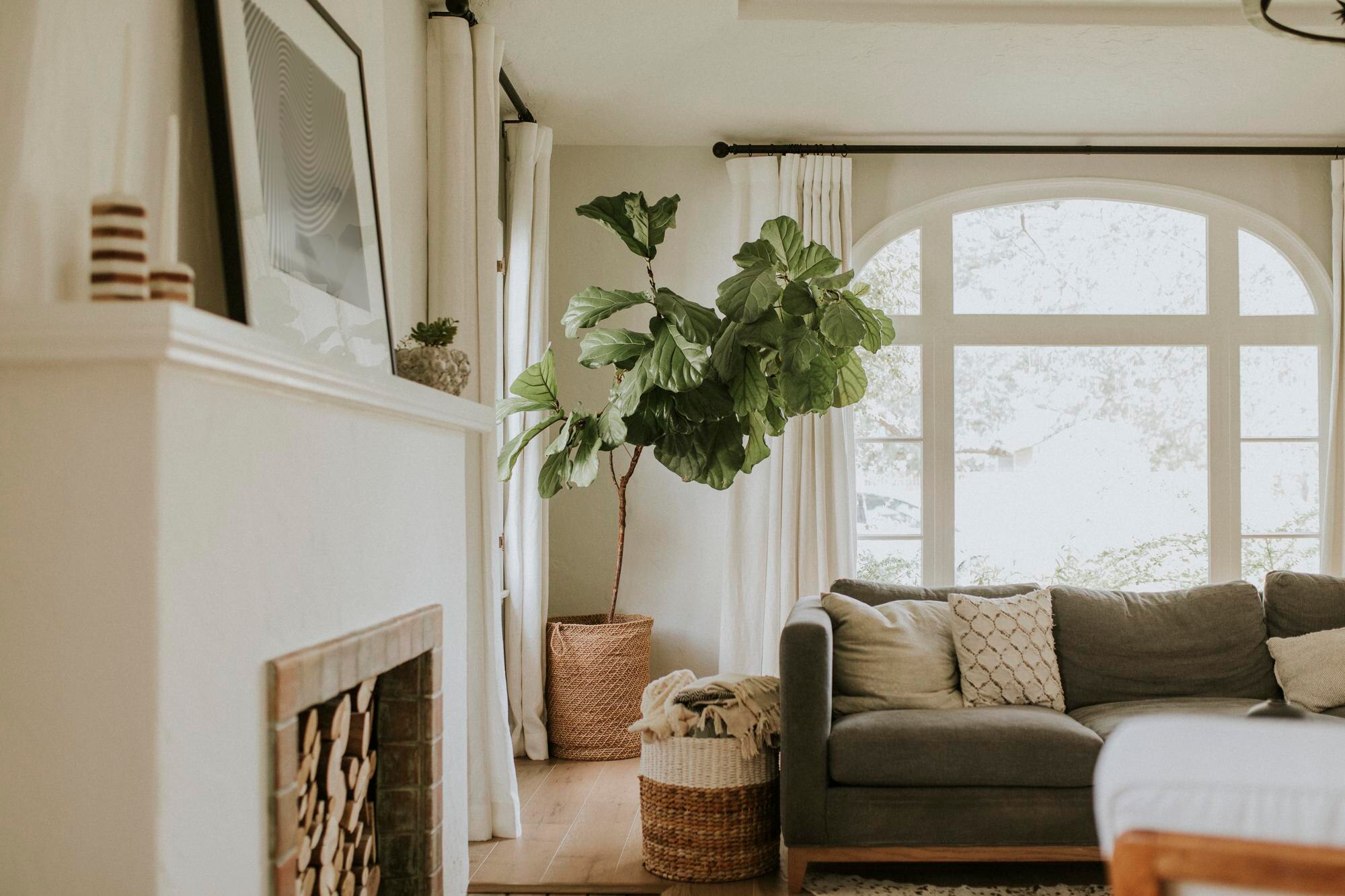Transform Your Columbus Home into a Personalized Sanctuary: A Local Designer’s Guide