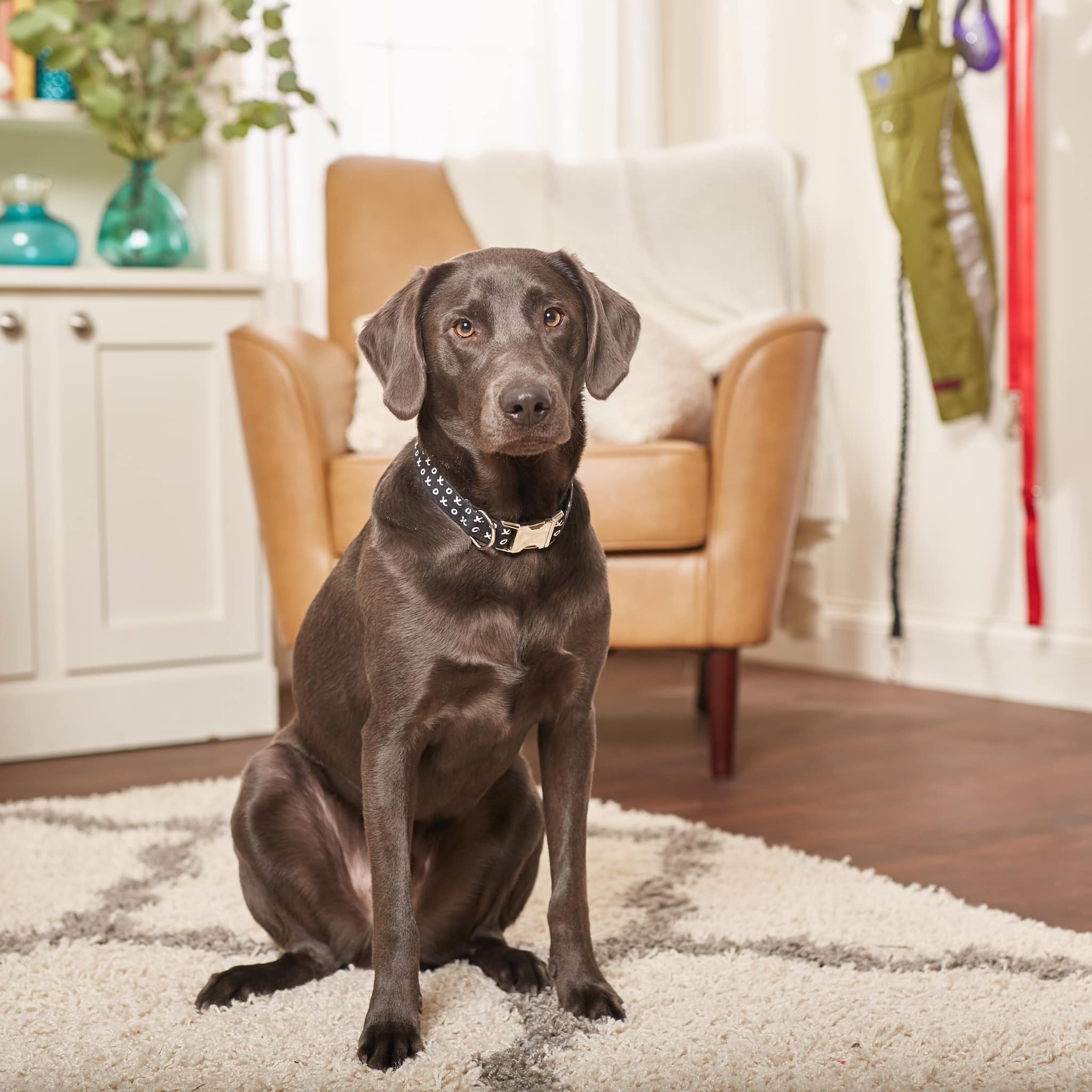 Local Insight, Lasting Impact: The Benefits of Hiring a Central Ohio Interior Designer